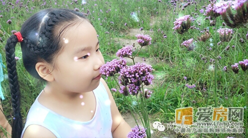 绿地国际博览城