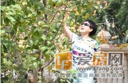 凯丽