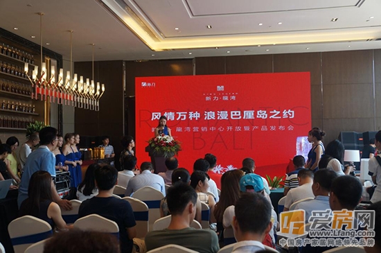 　新力龍湾