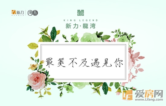 图片6_副本.jpg