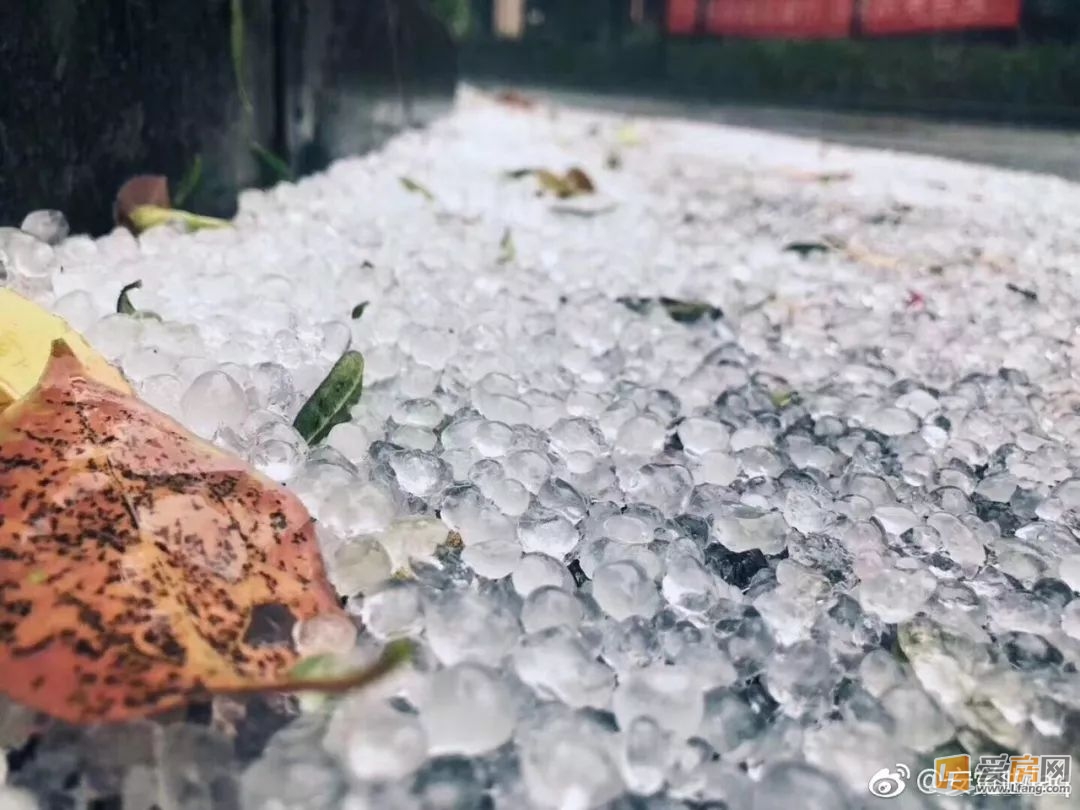 河南 省 气象 台 7 时 发布 暴雨 蓝色 预警
