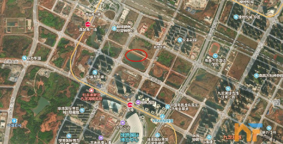 九龙湖1.jpg