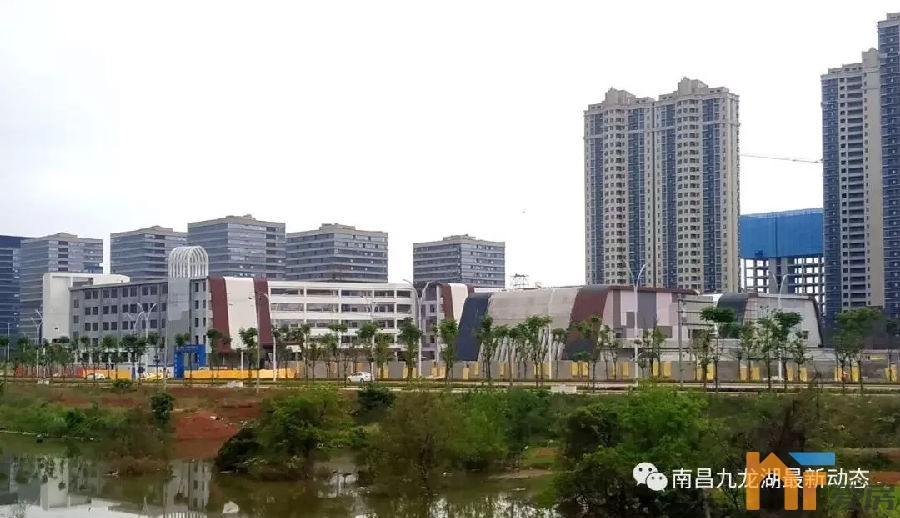 腾龙学校.png