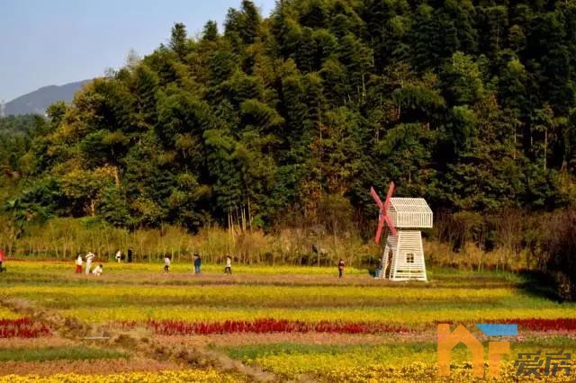 南昌的"绿肺" 建设"大美湾里"新篇章