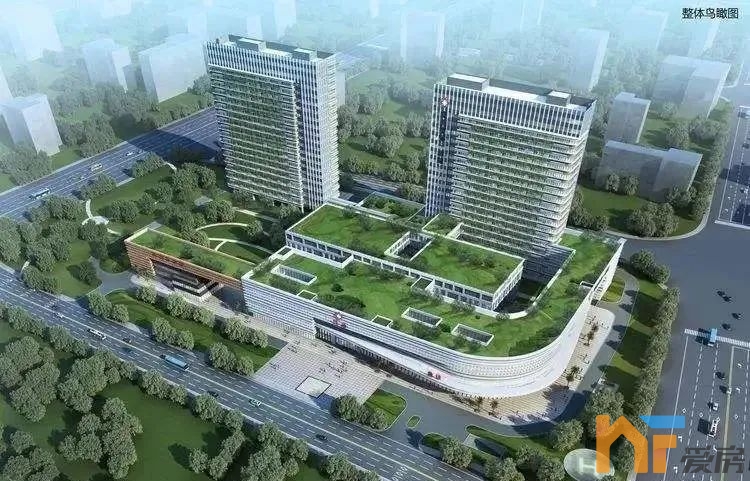 九龙湖7.jpg