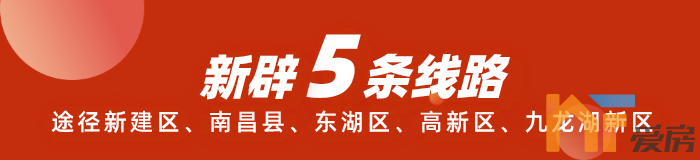 公交线开行新洪城大市场2.png