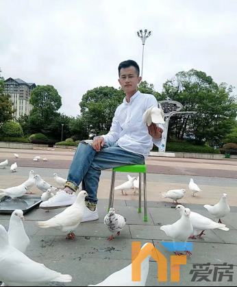 天街里的养鸽人(m2(1)(1)1138.png